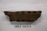藏品(鱷魚化石)的圖片